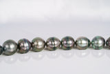 36pcs "RainStorm" Dark Mix Necklace - Circle 10-12mm AAA/AA quality Tahitian Pearl - Loose Pearl jewelry wholesale