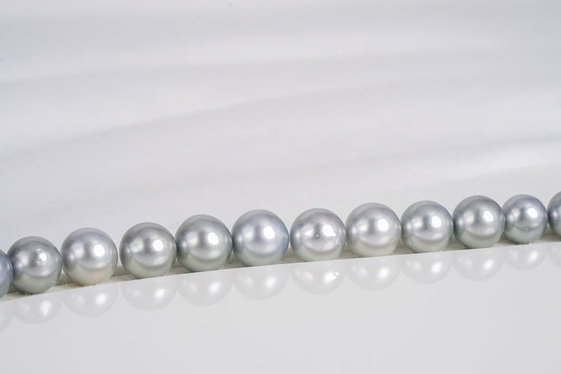46pcs "Snow White" Light Grey Necklace - Semi-Round 8-11mm AA/AAA quality Tahitian Pearl - Loose Pearl jewelry wholesale