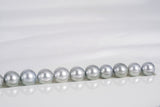 46pcs "Snow White" Light Grey Necklace - Semi-Round 8-11mm AA/AAA quality Tahitian Pearl - Loose Pearl jewelry wholesale