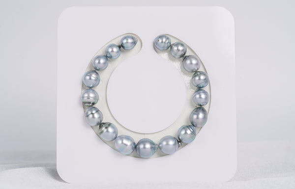 17pcs "Chambord" Silver Bracelet - Circle 8-10mm AAA/AA quality Tahitian Pearl - Loose Pearl jewelry wholesale