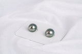 Green Matched Pair - SB/Drop 9mm AAA/AA quality Tahitian Pearl - Loose Pearl jewelry wholesale